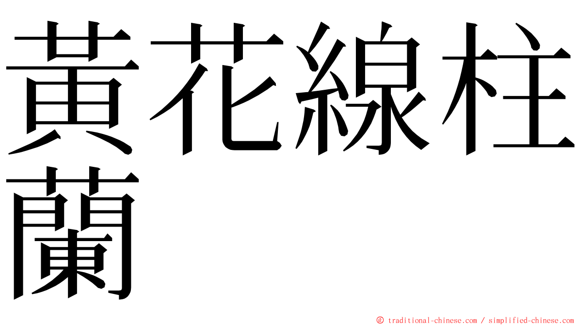 黃花線柱蘭 ming font