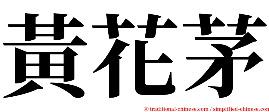 黃花茅 serif font