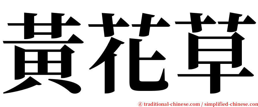 黃花草 serif font