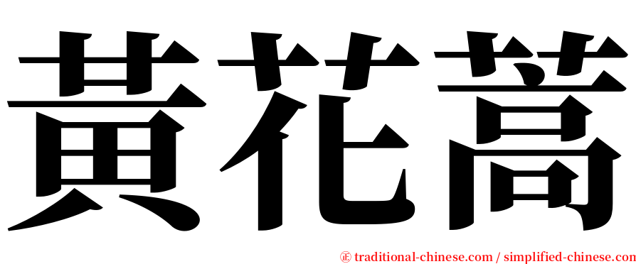 黃花蒿 serif font