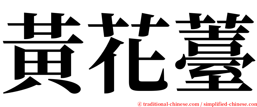 黃花薹 serif font