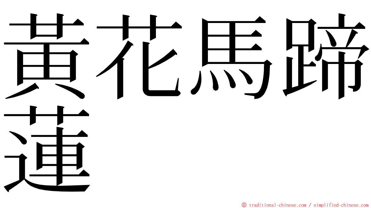 黃花馬蹄蓮 ming font