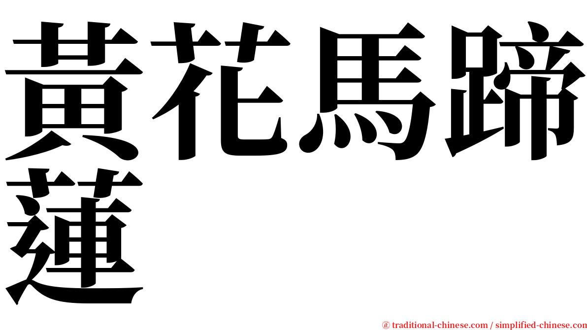 黃花馬蹄蓮 serif font