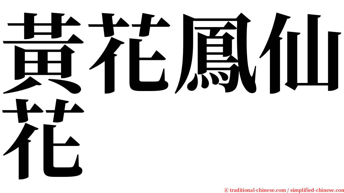 黃花鳳仙花 serif font