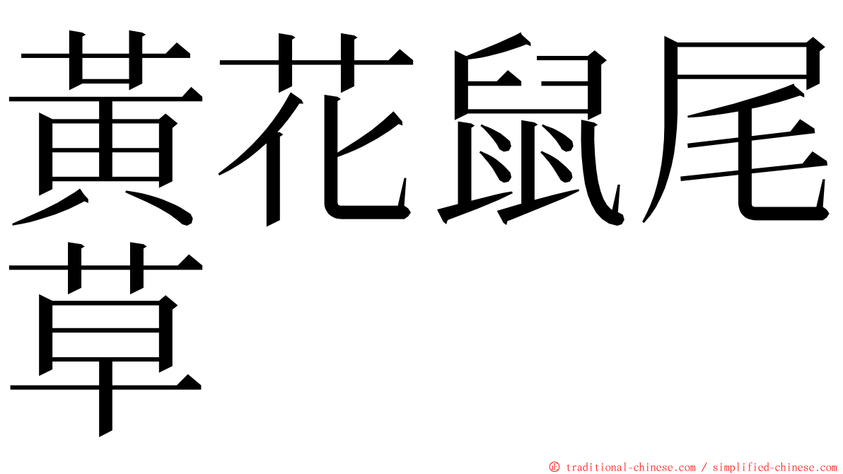 黃花鼠尾草 ming font