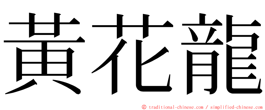 黃花龍 ming font