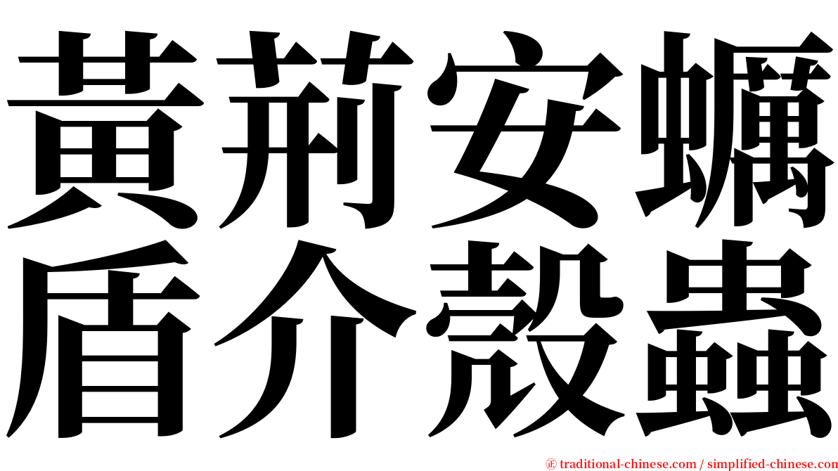 黃荊安蠣盾介殼蟲 serif font