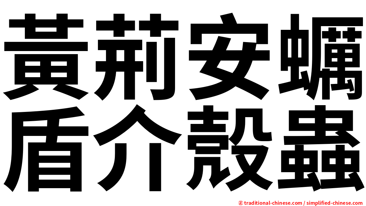 黃荊安蠣盾介殼蟲