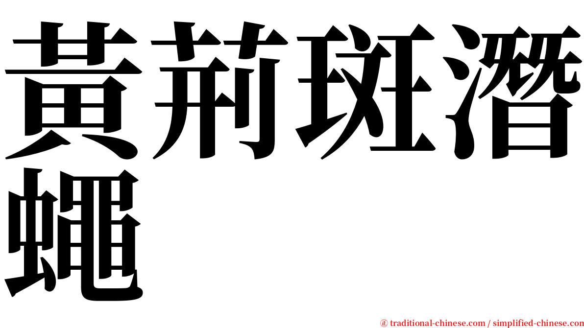 黃荊斑潛蠅 serif font