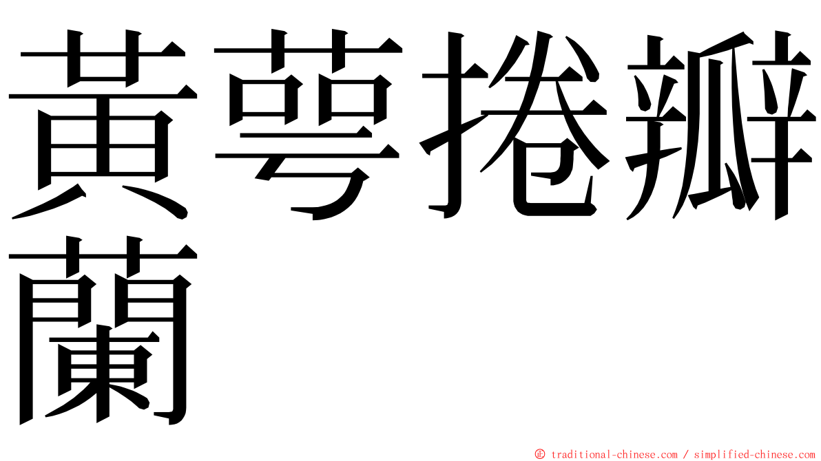 黃萼捲瓣蘭 ming font