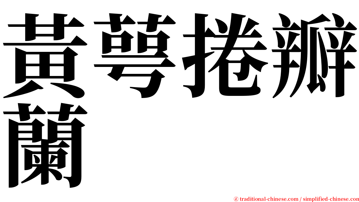 黃萼捲瓣蘭 serif font