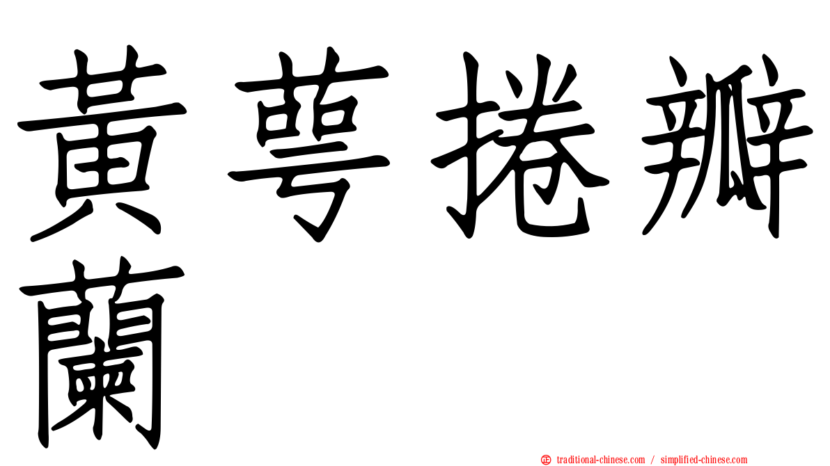 黃萼捲瓣蘭