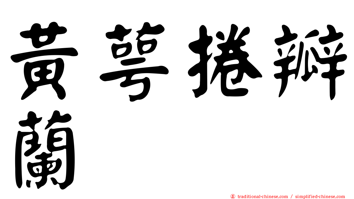 黃萼捲瓣蘭