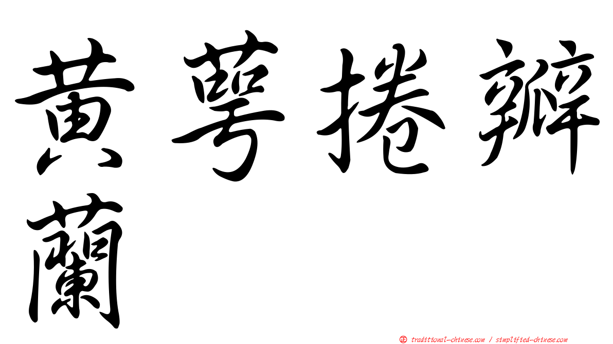 黃萼捲瓣蘭