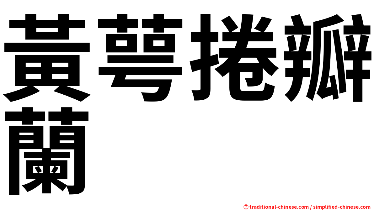 黃萼捲瓣蘭