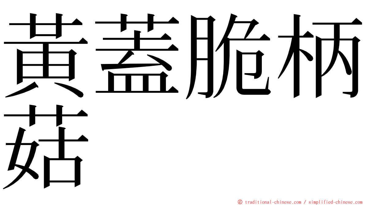 黃蓋脆柄菇 ming font