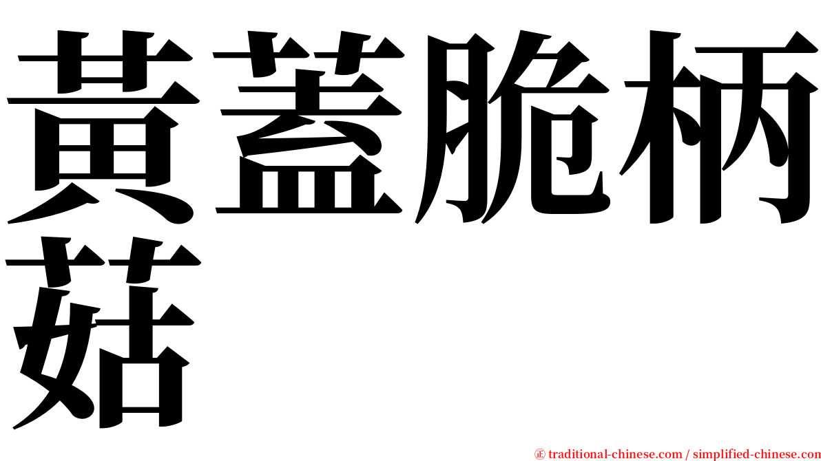 黃蓋脆柄菇 serif font