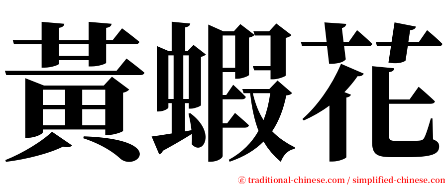 黃蝦花 serif font