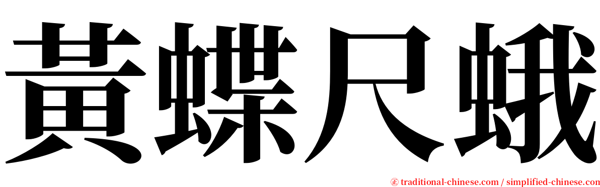 黃蝶尺蛾 serif font