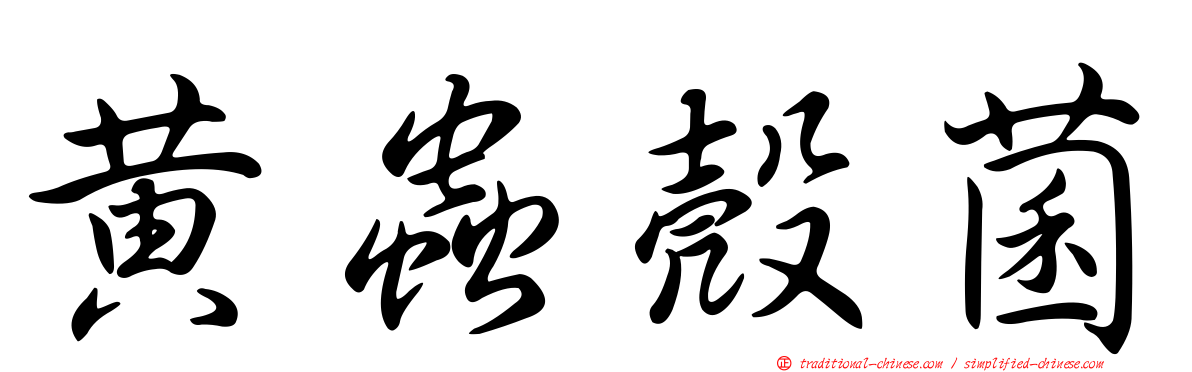 黃蟲殼菌