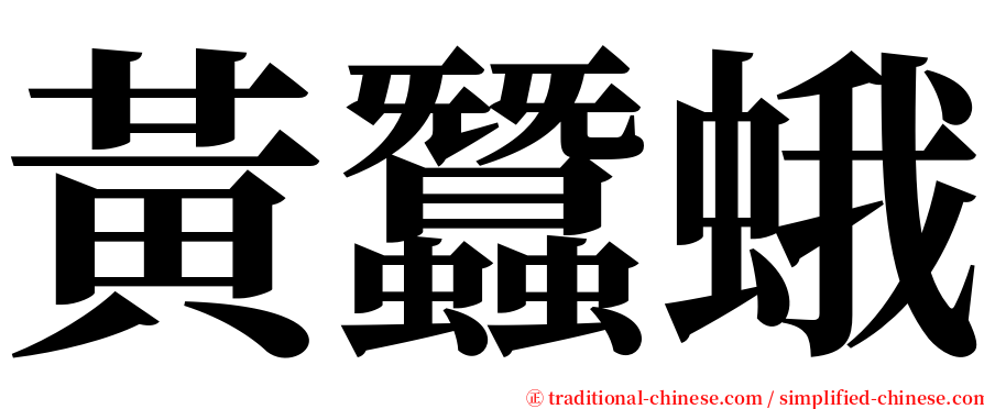 黃蠶蛾 serif font