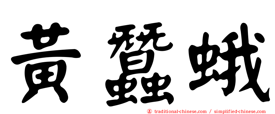 黃蠶蛾