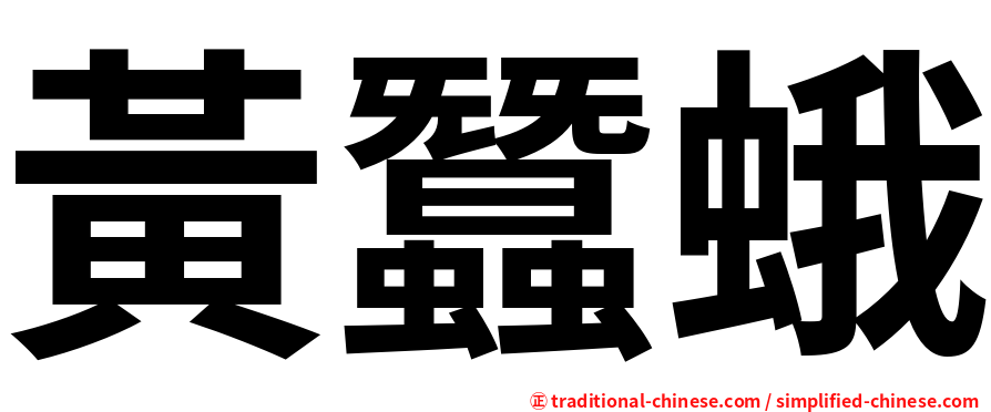 黃蠶蛾