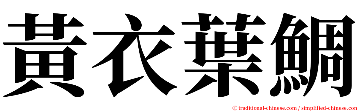 黃衣葉鯛 serif font