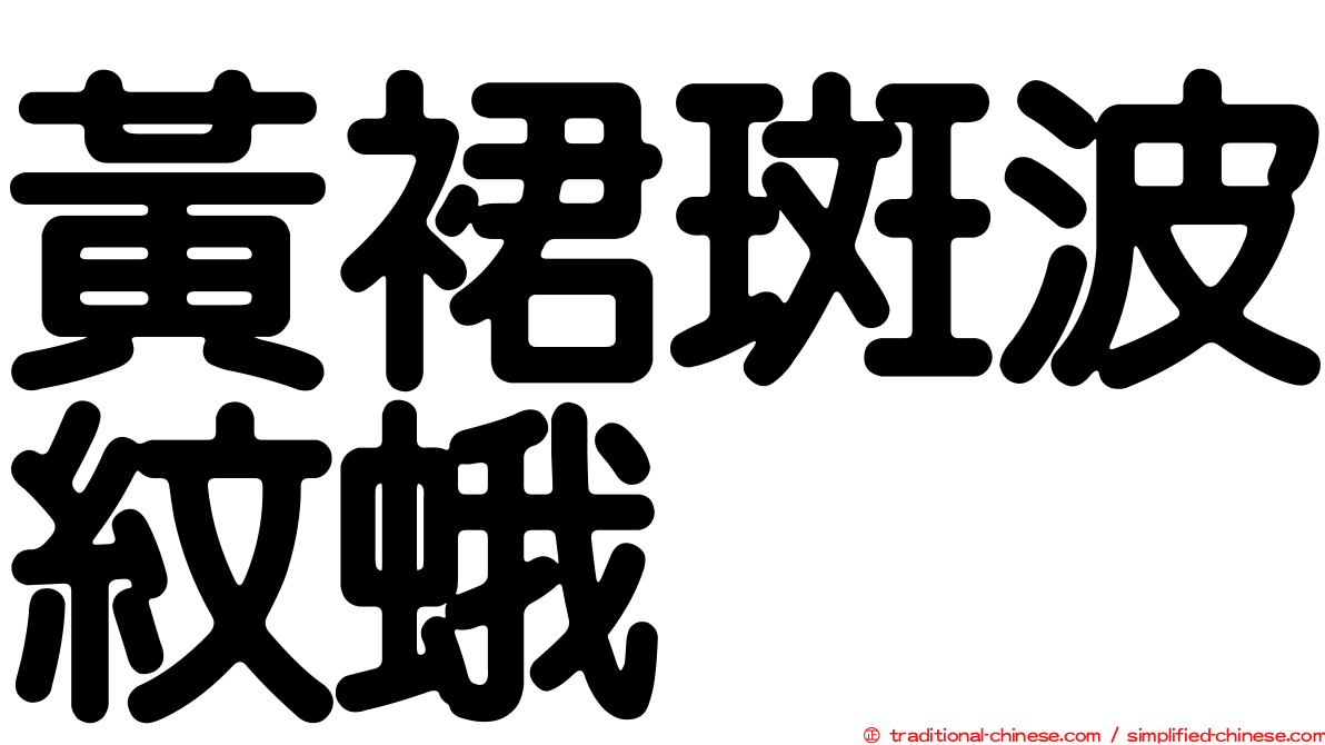黃裙斑波紋蛾