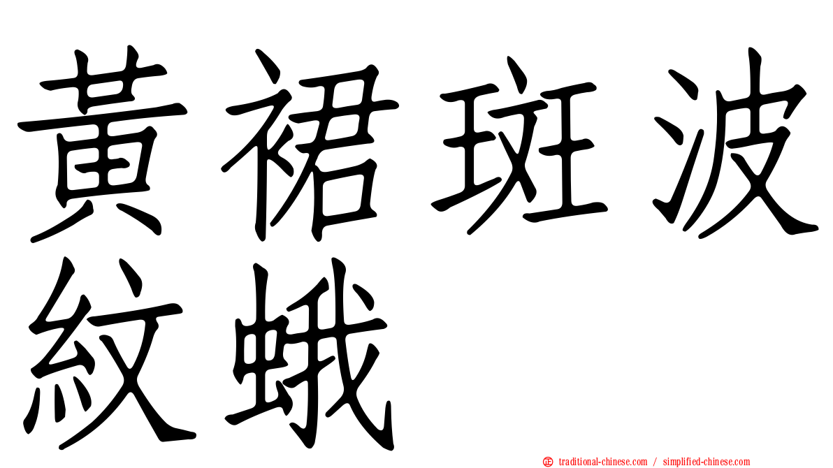 黃裙斑波紋蛾
