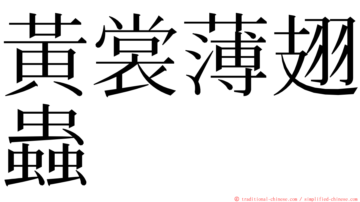 黃裳薄翅蟲 ming font