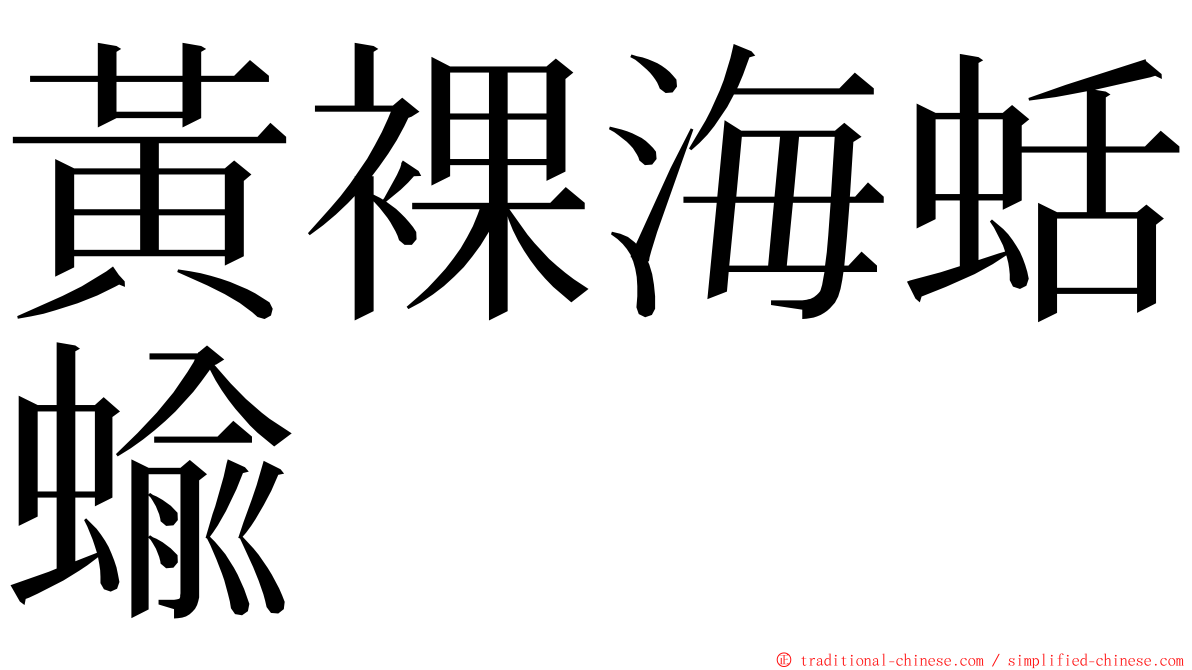 黃裸海蛞蝓 ming font