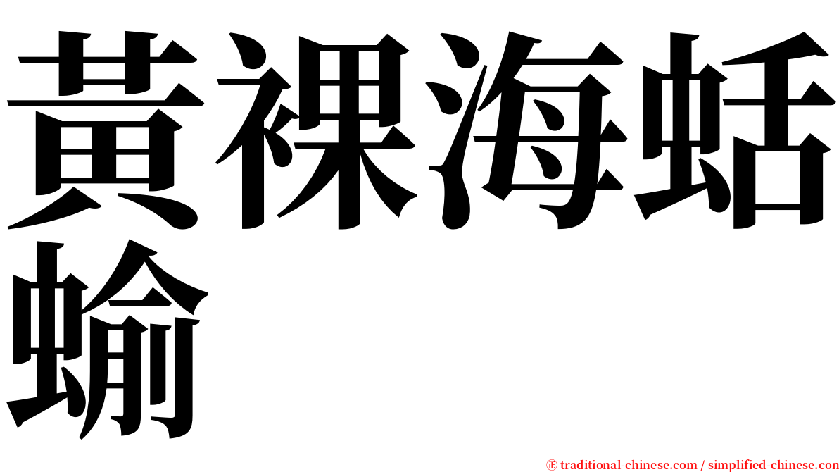 黃裸海蛞蝓 serif font