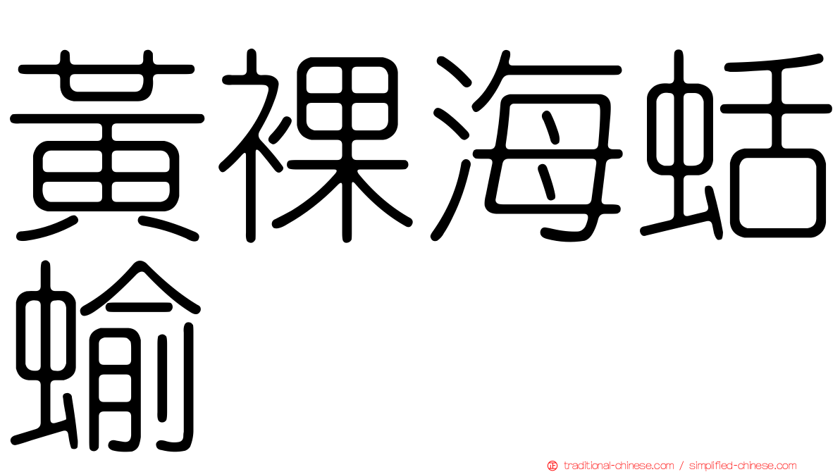 黃裸海蛞蝓