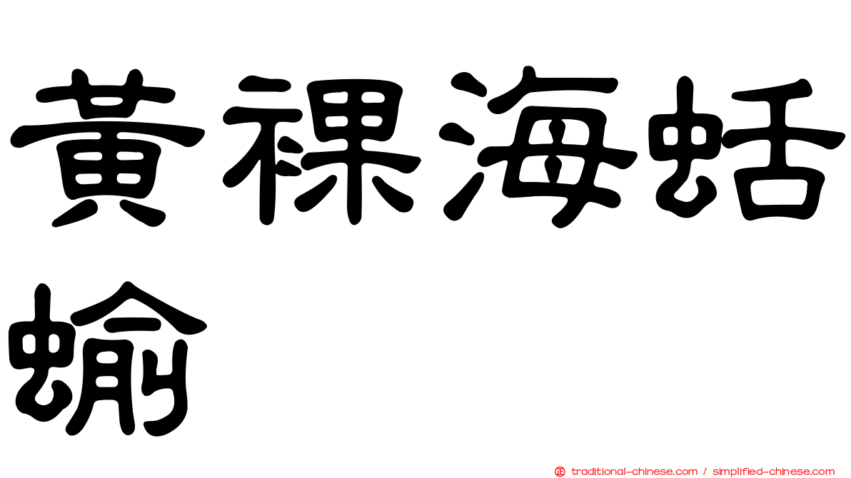 黃裸海蛞蝓
