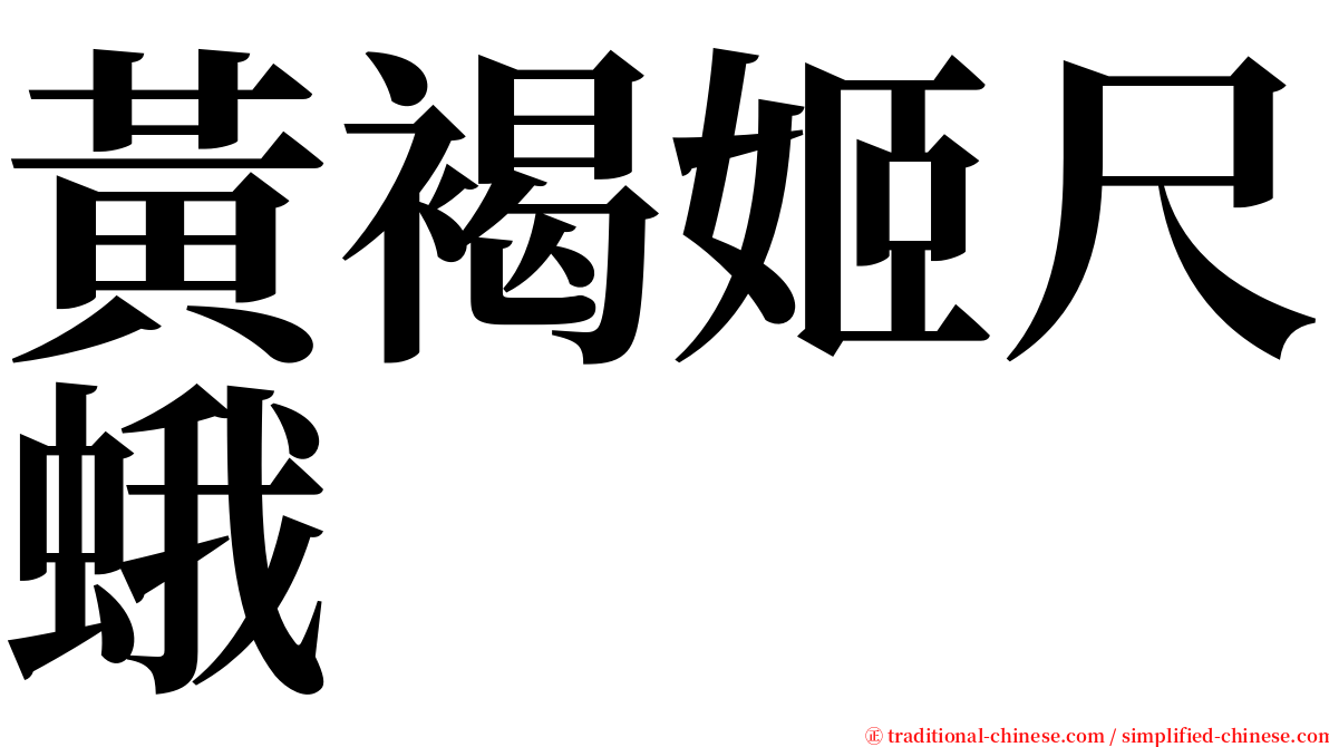 黃褐姬尺蛾 serif font