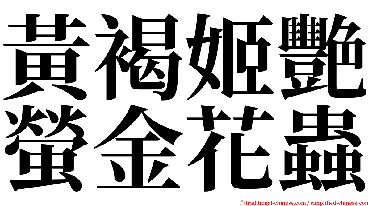 黃褐姬艷螢金花蟲 serif font