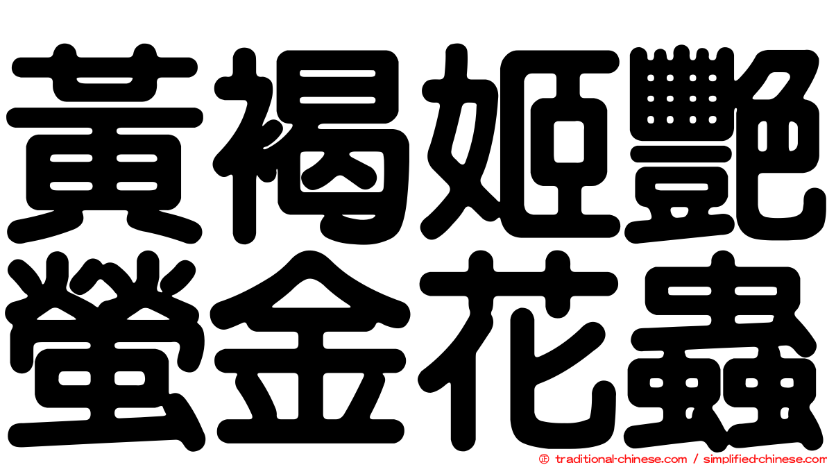 黃褐姬艷螢金花蟲