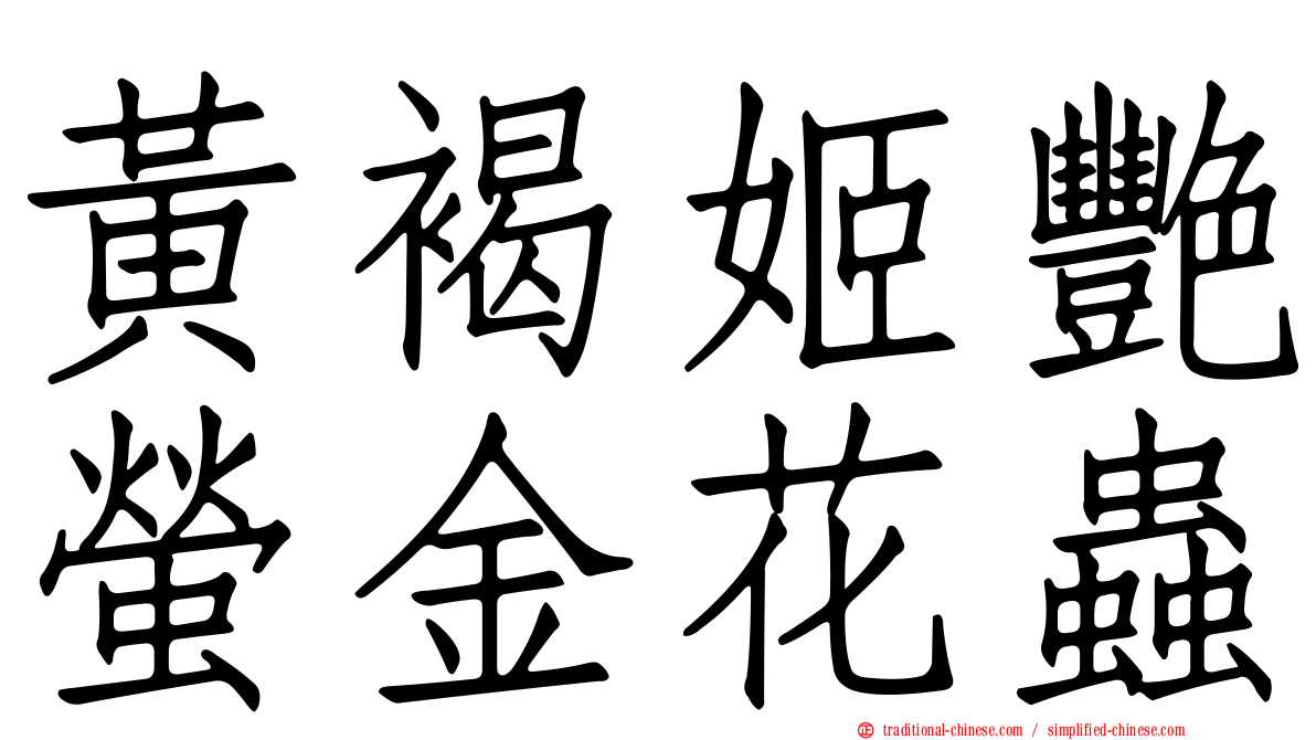 黃褐姬艷螢金花蟲