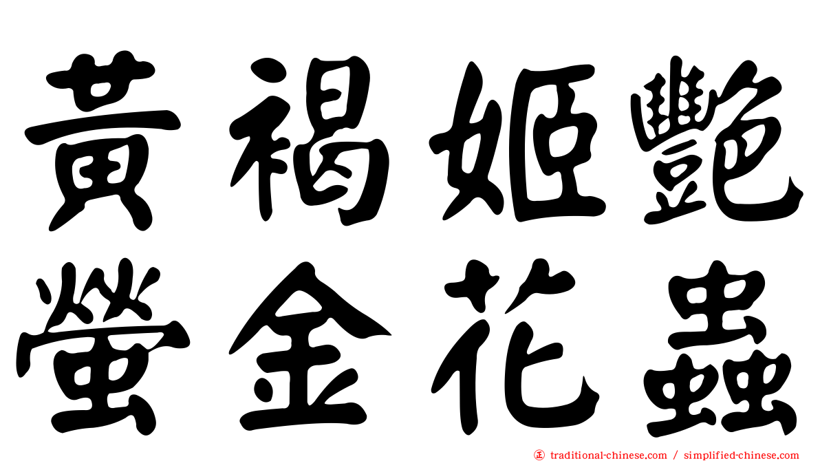黃褐姬艷螢金花蟲