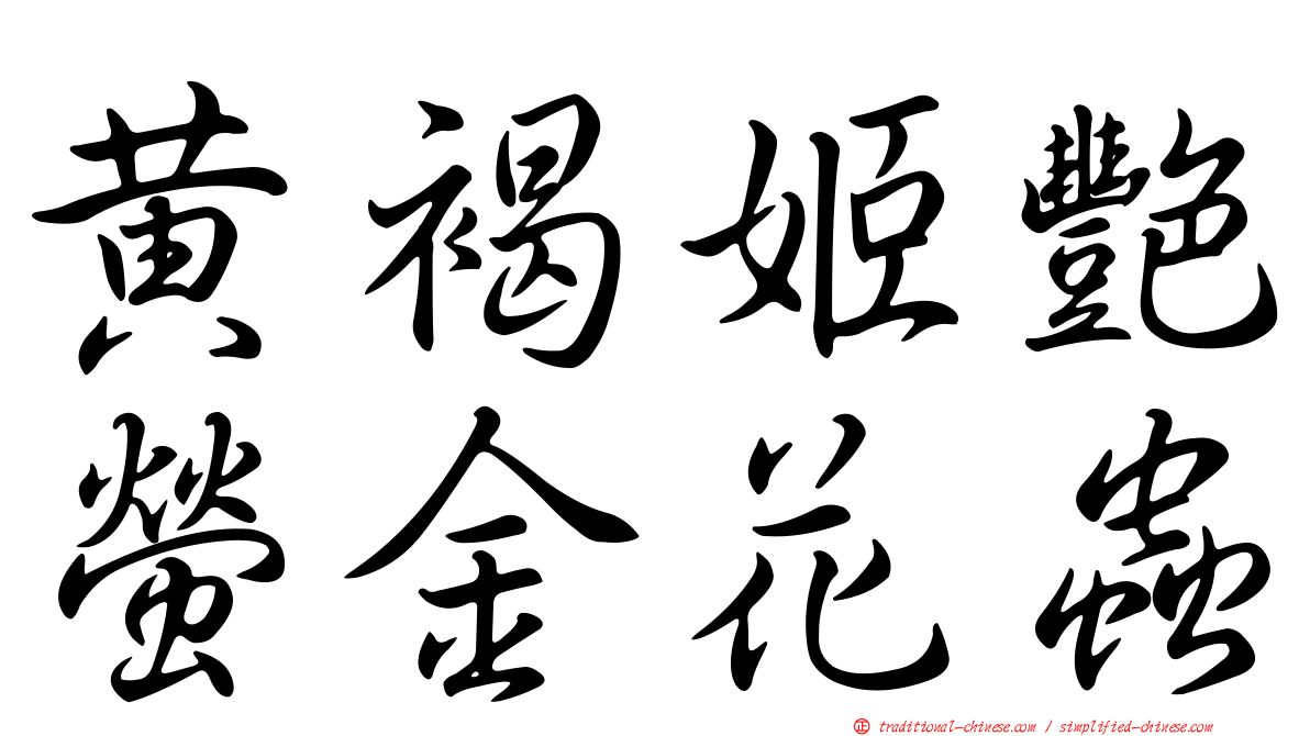 黃褐姬艷螢金花蟲