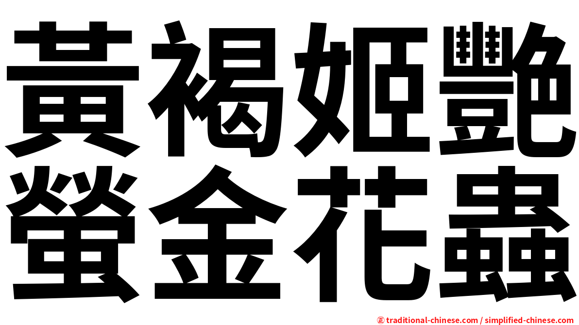 黃褐姬艷螢金花蟲