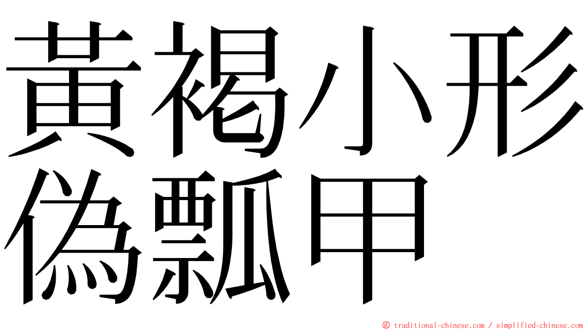 黃褐小形偽瓢甲 ming font