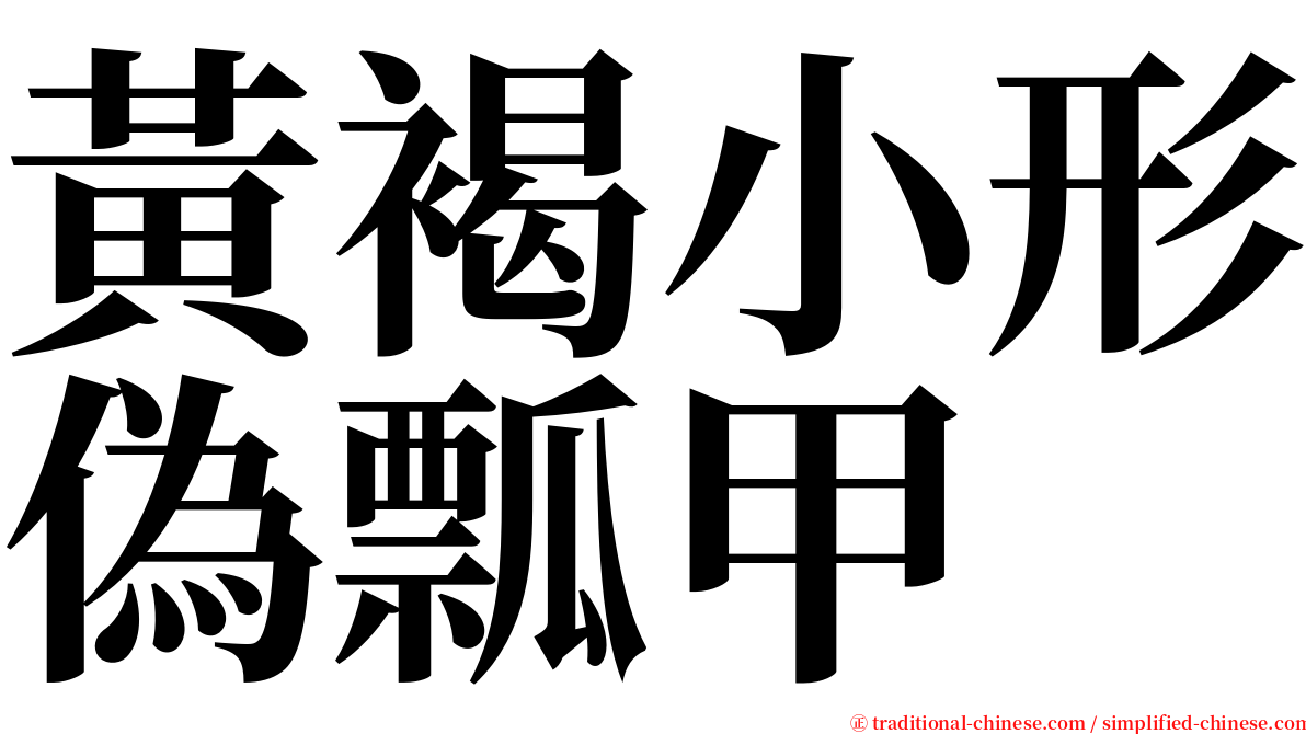 黃褐小形偽瓢甲 serif font