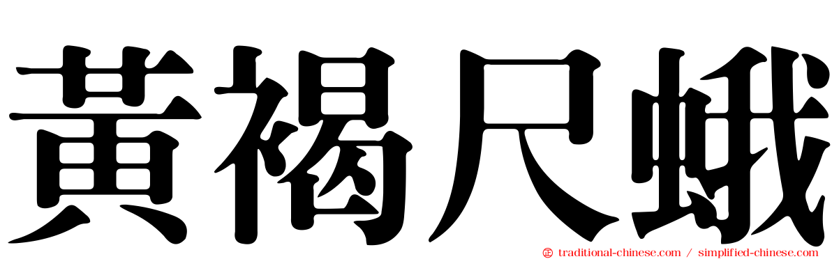 黃褐尺蛾