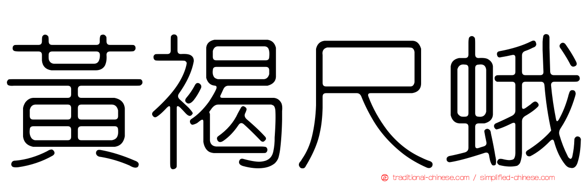 黃褐尺蛾