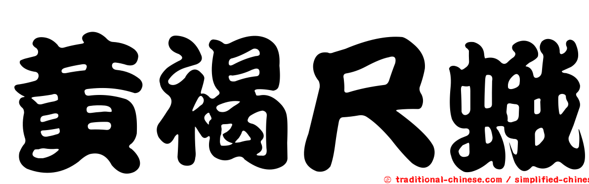 黃褐尺蛾