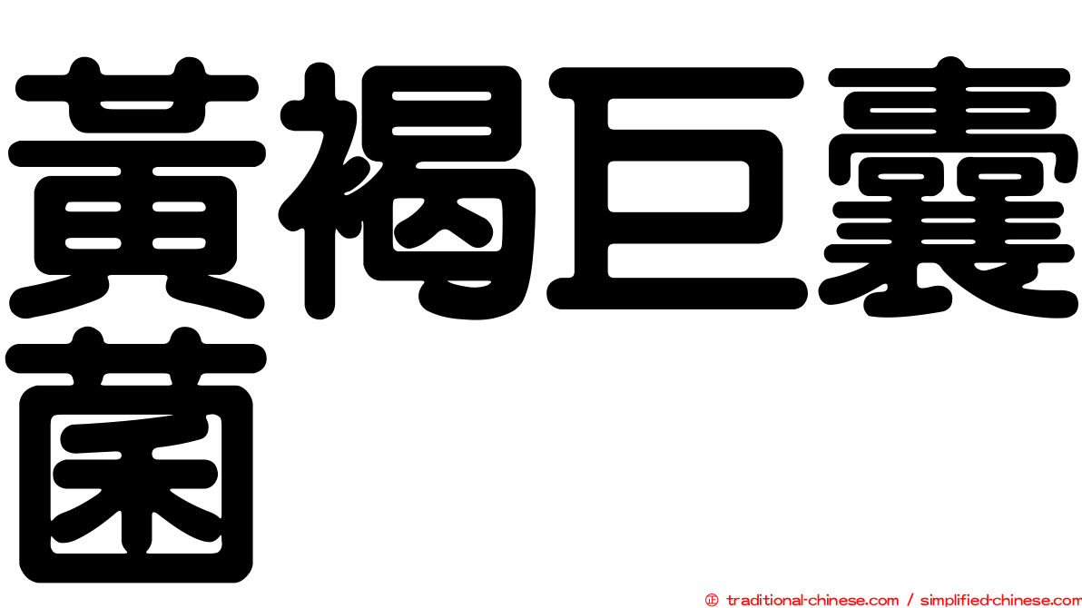 黃褐巨囊菌
