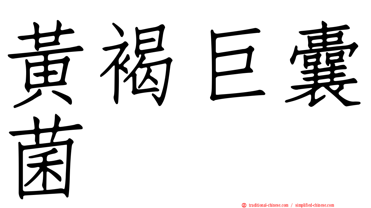 黃褐巨囊菌