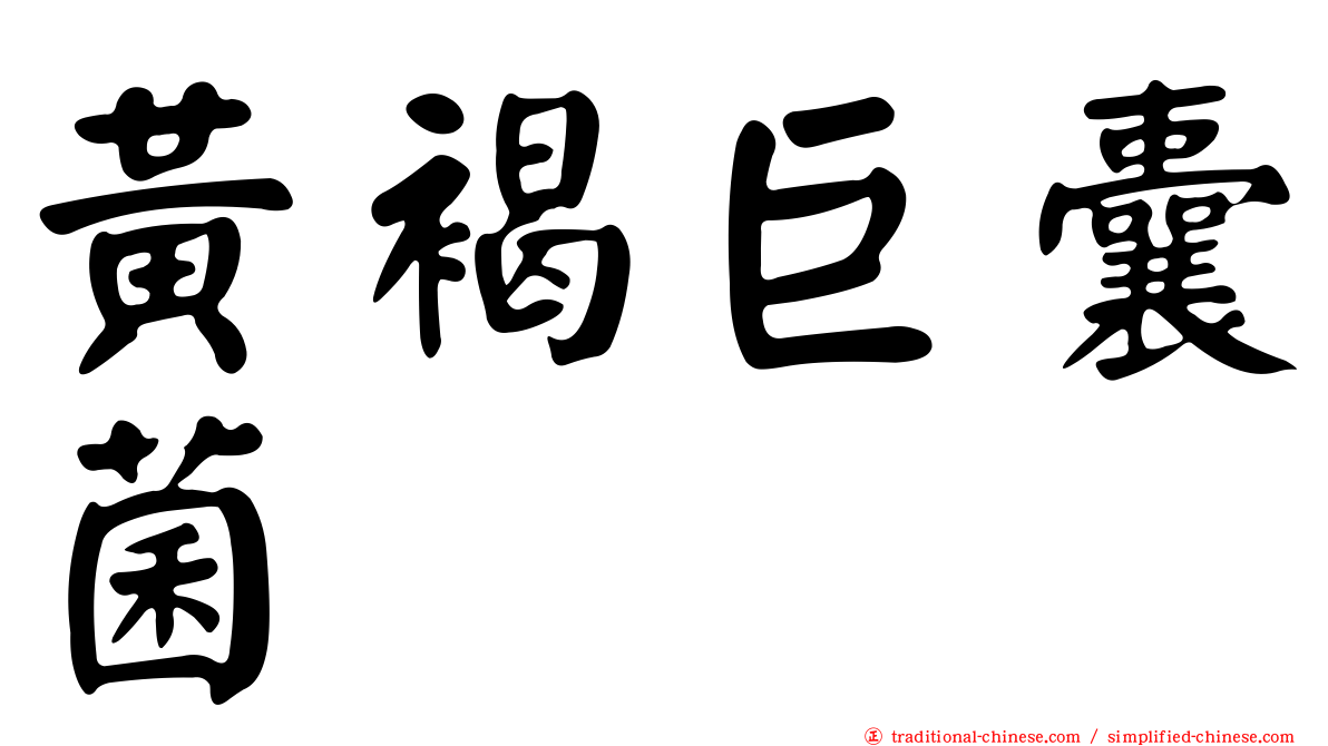 黃褐巨囊菌
